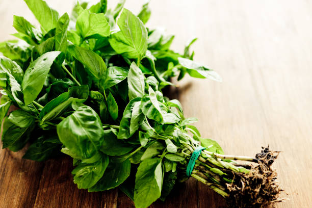 Albahaca