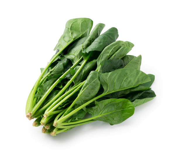 Espinaca