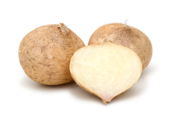 Jicama