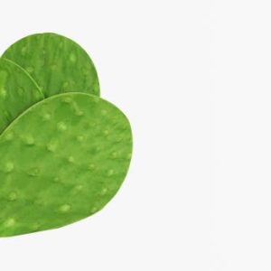 Nopal entero